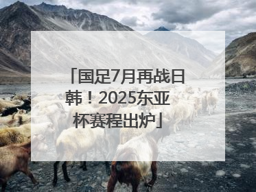 国足7月再战日韩！2025东亚杯赛程出炉
