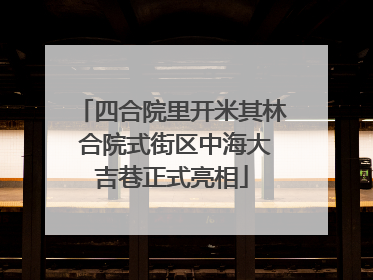 四合院里开米其林 合院式街区中海大吉巷正式亮相