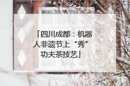 四川成都：机器人非遗节上“秀”功夫茶技艺