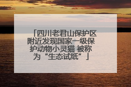 四川老君山保护区附近发现国家一级保护动物小灵猫 被称为“生态试纸”