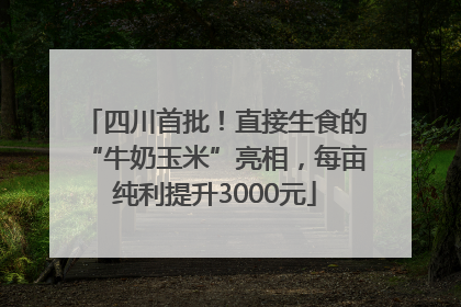 四川首批！直接生食的“牛奶玉米”亮相，每亩纯利提升3000元