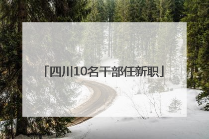 四川10名干部任新职