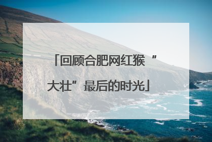 回顾合肥网红猴“大壮”最后的时光