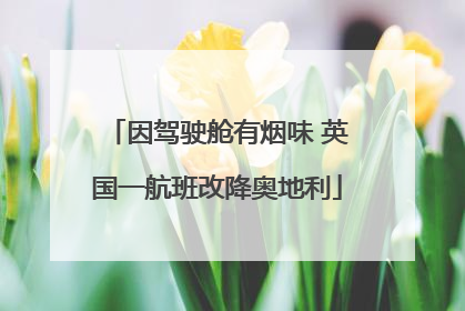 因驾驶舱有烟味 英国一航班改降奥地利
