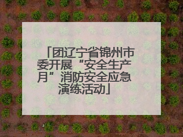 团辽宁省锦州市委开展“安全生产月”消防安全应急演练活动