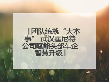 团队练就“大本事” 武汉霍尼特公司赋能头部车企智慧升级