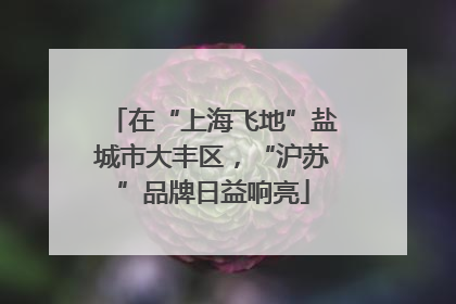 在“上海飞地”盐城市大丰区，“沪苏”品牌日益响亮