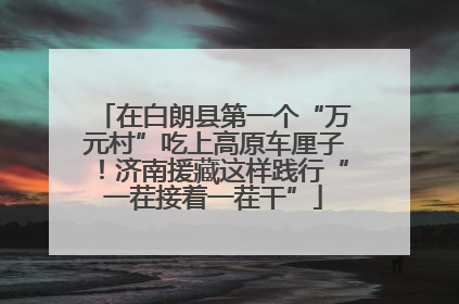 在白朗县第一个“万元村”吃上高原车厘子！济南援藏这样践行“一茬接着一茬干”