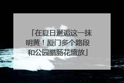 在夏日邂逅这一抹明黄！厦门多个路段和公园腊肠花盛放