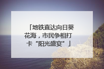 地铁直达向日葵花海，市民争相打卡“阳光盛宴”