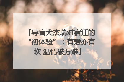 导盲犬杰瑞对宿迁的“初体验”：有爱亦有坎 温情破万难
