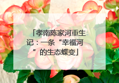 孝南陈家河重生记：一条“幸福河”的生态蝶变