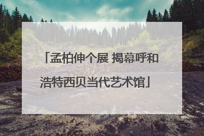 孟柏伸个展 揭幕呼和浩特西贝当代艺术馆