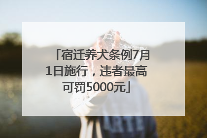 宿迁养犬条例7月1日施行，违者最高可罚5000元
