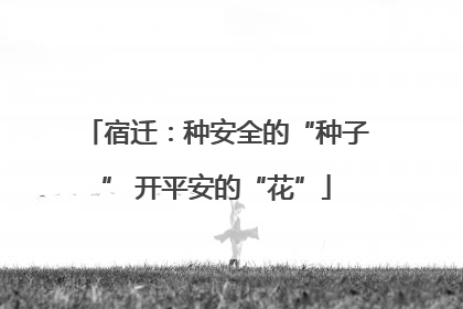 宿迁：种安全的“种子” 开平安的“花”