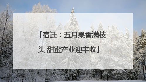 宿迁：五月果香满枝头 甜蜜产业迎丰收