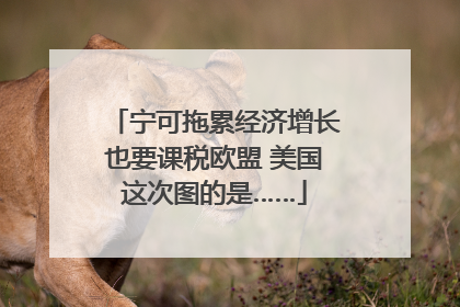 宁可拖累经济增长也要课税欧盟 美国这次图的是……