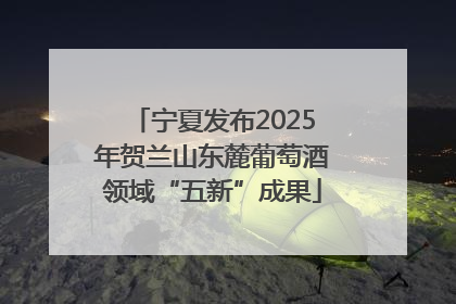 宁夏发布2025年贺兰山东麓葡萄酒领域“五新”成果