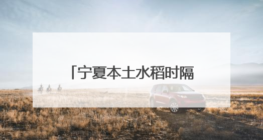 宁夏本土水稻时隔22年再次获得国家级“通行证”