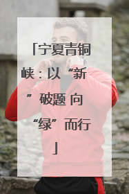 宁夏青铜峡：以“新”破题 向“绿”而行