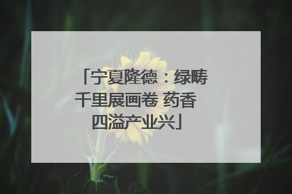 宁夏隆德：绿畴千里展画卷 药香四溢产业兴