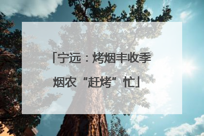 宁远：烤烟丰收季 烟农“赶烤”忙