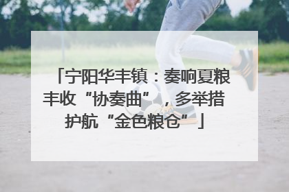 宁阳华丰镇：奏响夏粮丰收“协奏曲”，多举措护航“金色粮仓”
