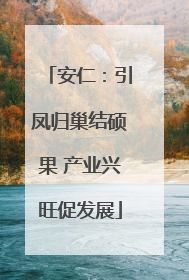 安仁：引凤归巢结硕果 产业兴旺促发展