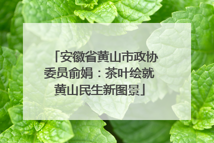 安徽省黄山市政协委员俞娟：茶叶绘就黄山民生新图景