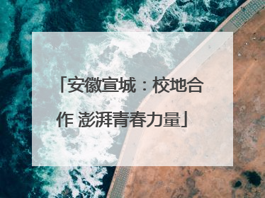 安徽宣城：校地合作 澎湃青春力量