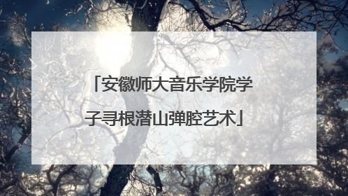 安徽师大音乐学院学子寻根潜山弹腔艺术