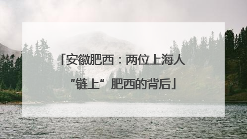 安徽肥西：两位上海人“链上”肥西的背后