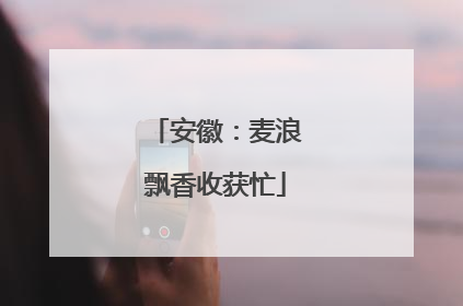 安徽：麦浪飘香收获忙