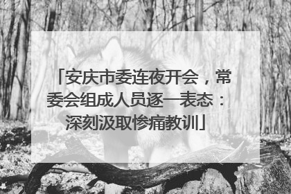 安庆市委连夜开会，常委会组成人员逐一表态：深刻汲取惨痛教训