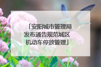 安阳城市管理局发布通告规范城区机动车停放管理