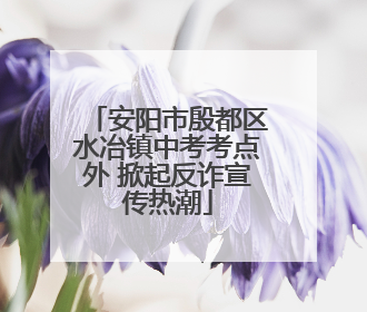 安阳市殷都区水冶镇中考考点外 掀起反诈宣传热潮