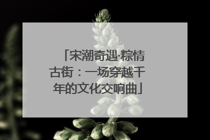 宋潮奇遇·粽情古街：一场穿越千年的文化交响曲