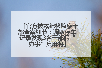 官方披露纪检监察干部查案细节：调取停车记录发现3名干部假“办事”真麻将