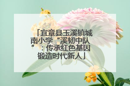 宜章县玉溪镇城南小学“溪韧中队”：传承红色基因 锻造时代新人