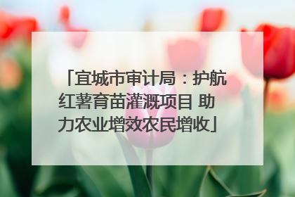 宜城市审计局：护航红薯育苗灌溉项目 助力农业增效农民增收