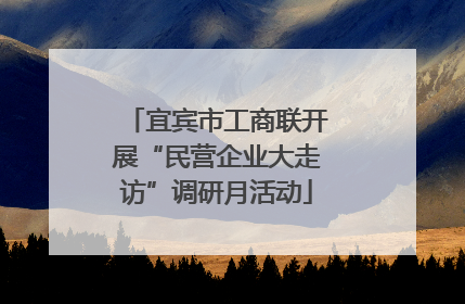宜宾市工商联开展“民营企业大走访”调研月活动