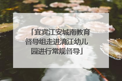 宜宾江安城南教育督导组走进淯江幼儿园进行常规督导
