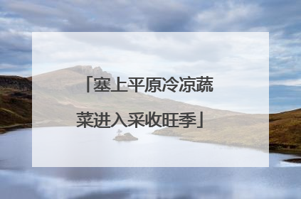 塞上平原冷凉蔬菜进入采收旺季