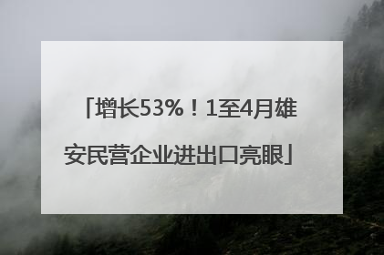 增长53%！1至4月雄安民营企业进出口亮眼