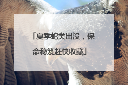 夏季蛇类出没，保命秘笈赶快收藏
