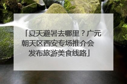 夏天避暑去哪里？广元朝天区西安专场推介会 发布旅游美食线路