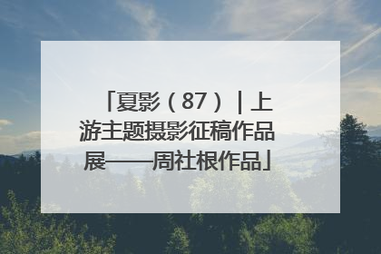 夏影（87）｜上游主题摄影征稿作品展——周社根作品