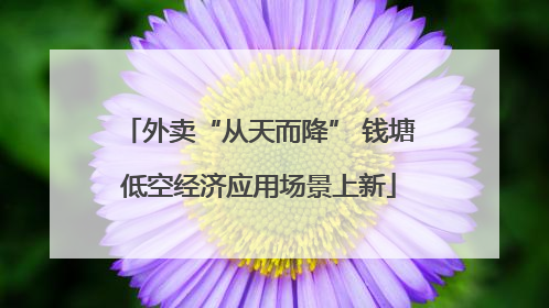 外卖“从天而降” 钱塘低空经济应用场景上新