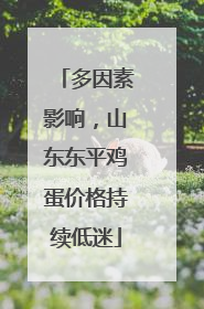 多因素影响，山东东平鸡蛋价格持续低迷