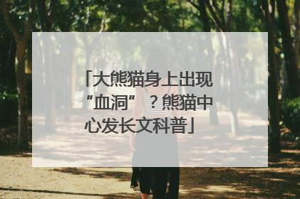 大熊猫身上出现“血洞”？熊猫中心发长文科普